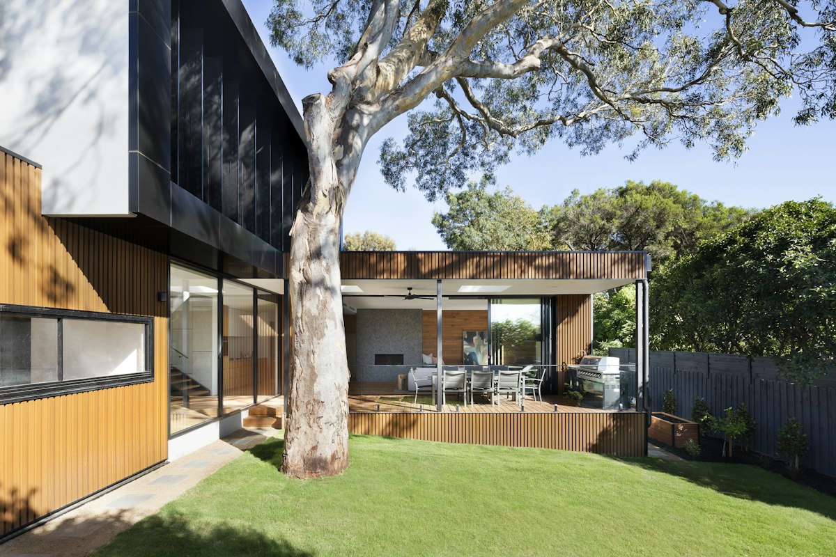 A natural path through a wooded outdoor setting